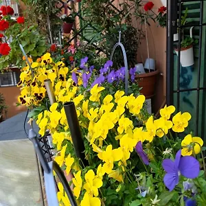 Apartament Casa Il Gelsomino 